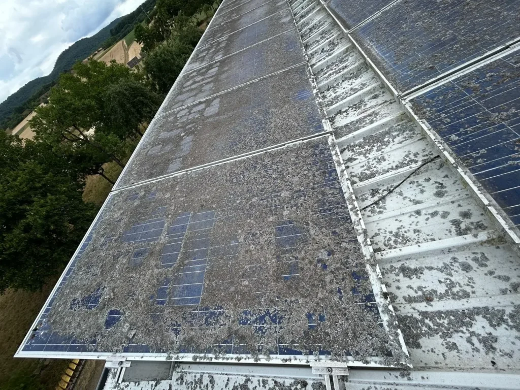 Stark verschmutzte Module vor der Reinigung
